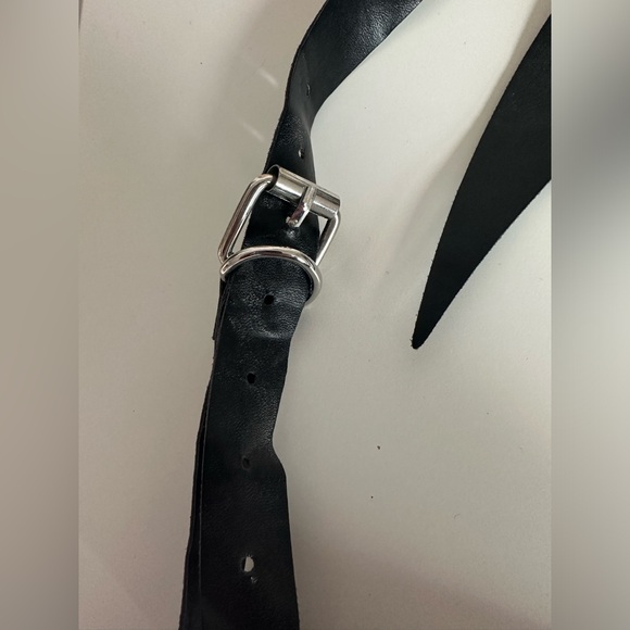 Bat Wings - Picture 3 of 4